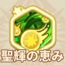 聖輝の恵み